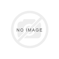 The Wirtgen W100 Wheel Milling Machine